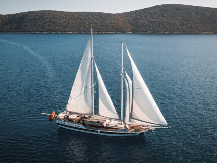 Naviga Yachting l Wicked Felina Deluxe Tekne ve Motor Yat Kiralama Fiyatları